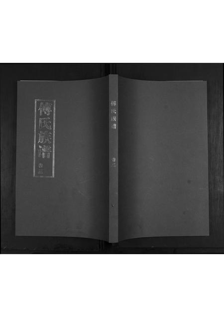 山东傅氏-傅氏族谱[3卷].pdf电子版插图