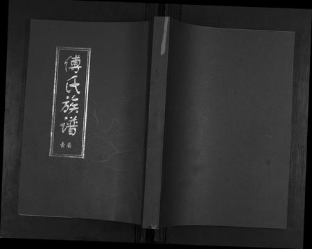 山东傅氏-傅氏族谱[3卷].pdf电子版插图