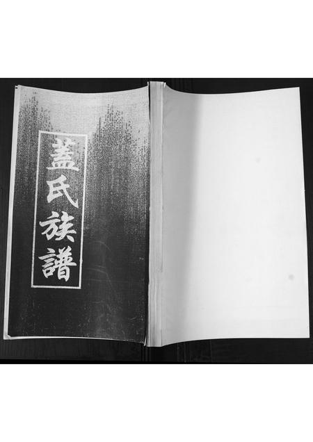 山东盖氏-盖氏族谱[不分卷].pdf电子版插图