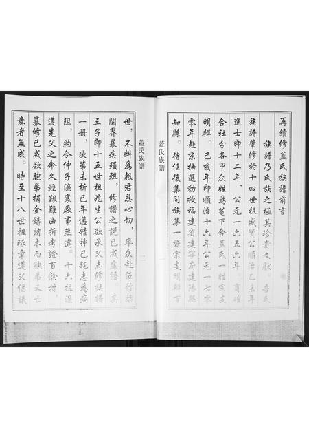 山东盖氏-盖氏族谱[不分卷].pdf电子版插图2