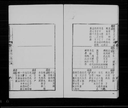 辽宁高佳氏高氏-奉天高佳氏家谱(别名：高佳氏家谱).pdf电子版插图4