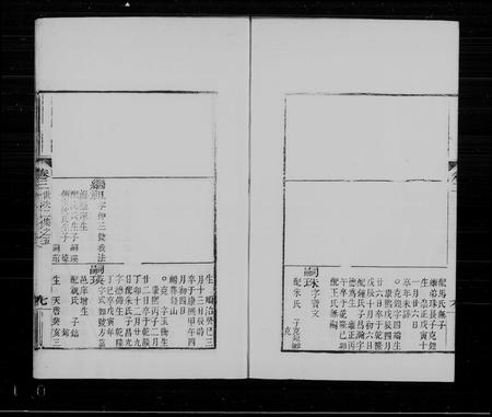 辽宁高佳氏高氏-奉天高佳氏家谱(别名：高佳氏家谱).pdf电子版插图5