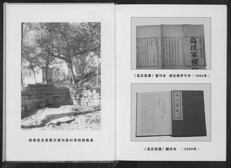 四川高氏-高氏家模文白对照诠释.pdf电子版插图4