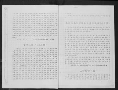四川高氏-高氏族谱.pdf电子版插图5