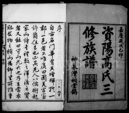 四川高氏-资阳高氏族谱 [12卷,首2卷].pdf电子版插图2