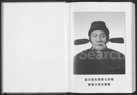 山东高氏-山东省淄博市淄川高氏家模 [不分卷].pdf电子版插图2