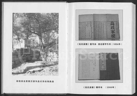 山东高氏-山东省淄博市淄川高氏家模 [不分卷].pdf电子版插图3