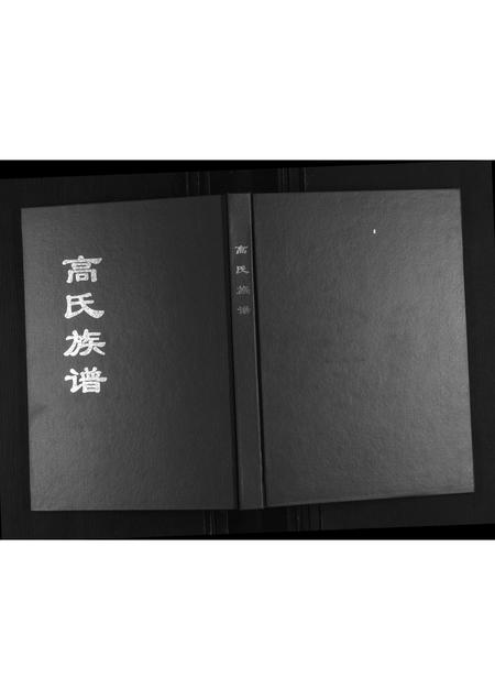 山东高氏-高氏族谱.pdf电子版插图