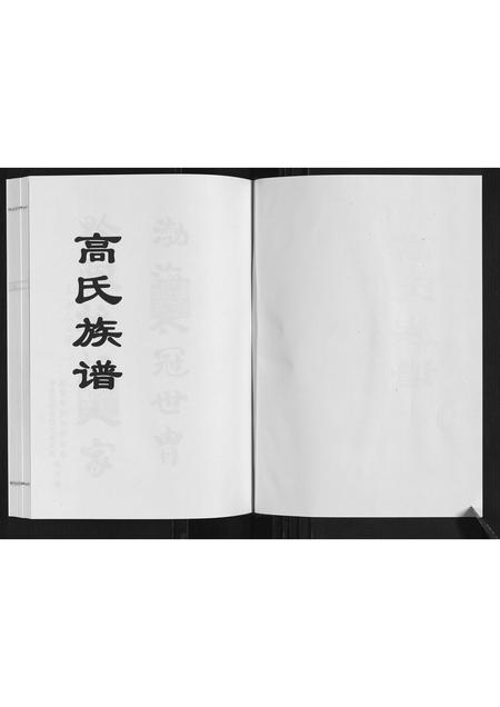 山东高氏-高氏族谱.pdf电子版插图1