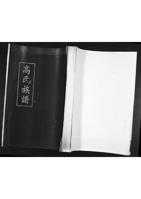 山东高氏-高氏族谱.pdf电子版插图