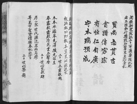 山东高氏-高氏族谱[10卷].pdf电子版插图2