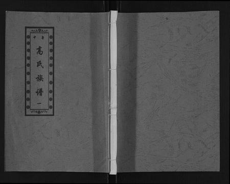 山东高氏-高氏族谱[14卷].pdf电子版插图