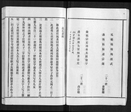 山东高氏-高氏族谱[22卷].pdf电子版插图4