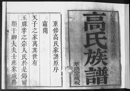 山东高氏-高氏族谱[8卷].pdf电子版插图1