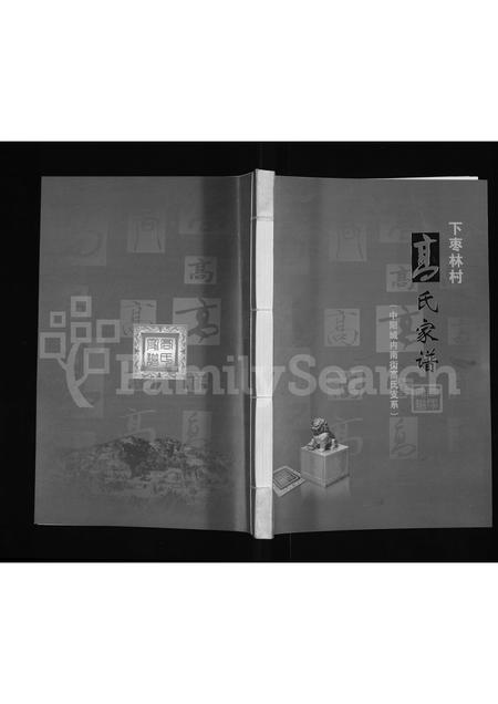 山西高氏-下枣林村高氏家谱 (中阳城内南街高氏支系)(别名：高氏家谱).pdf电子版插图