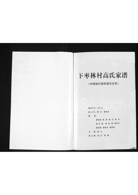 山西高氏-下枣林村高氏家谱 (中阳城内南街高氏支系)(别名：高氏家谱).pdf电子版插图1