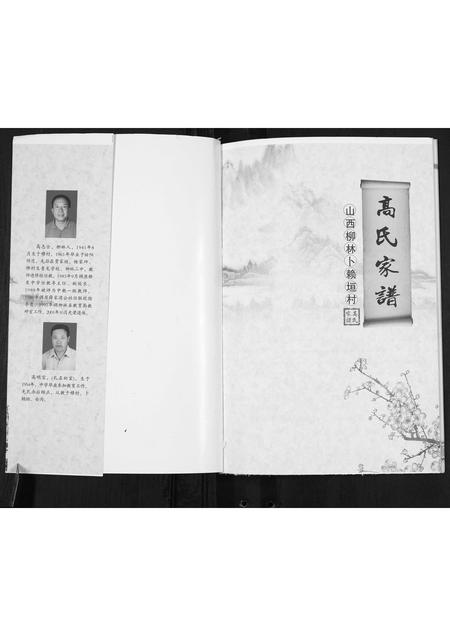 山西高氏-高氏宗谱.pdf电子版插图1
