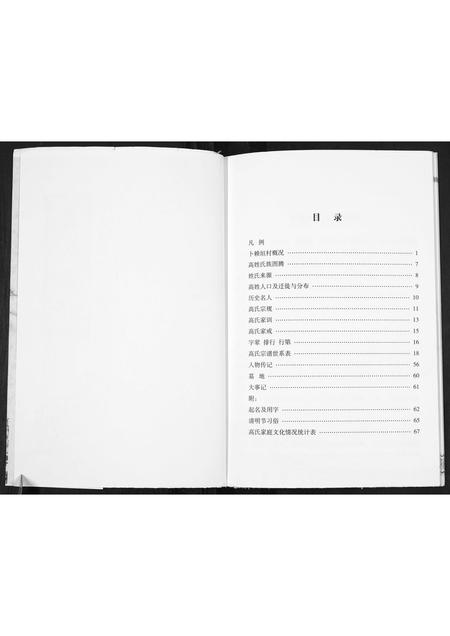 山西高氏-高氏宗谱.pdf电子版插图2