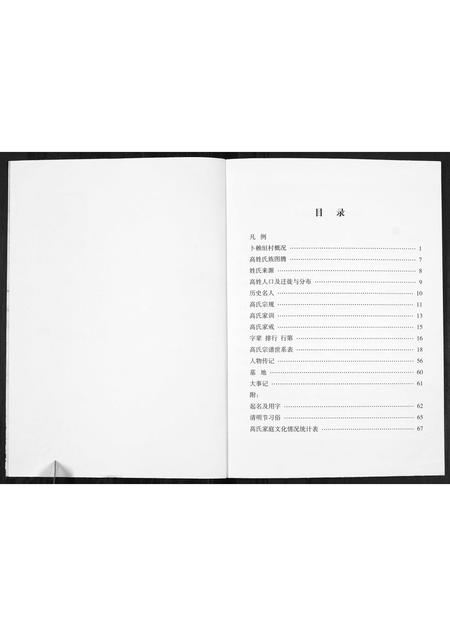 山西高氏-高氏家谱[不分卷].pdf电子版插图2