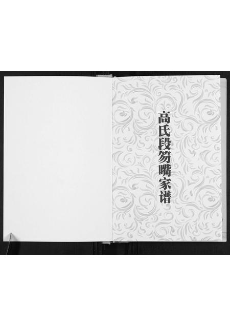 山西高氏-高氏段笏嘴家谱.pdf电子版插图1