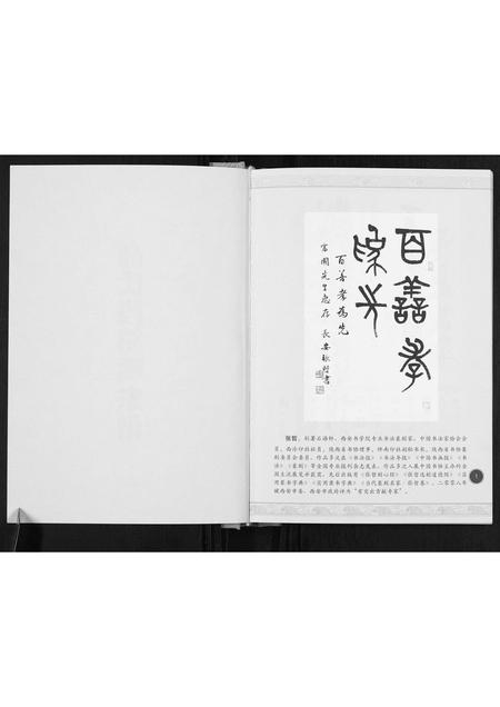 山西高氏-高氏段笏嘴家谱.pdf电子版插图2