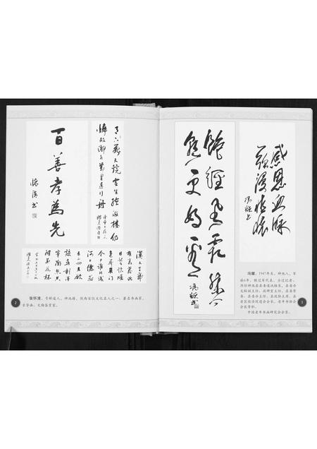 山西高氏-高氏段笏嘴家谱.pdf电子版插图3