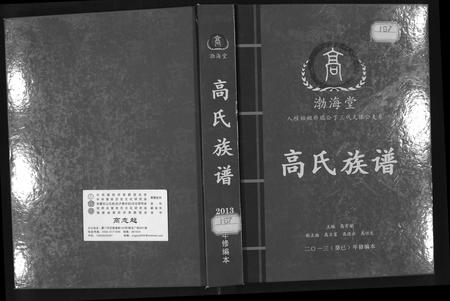 广西高氏-高氏族谱.pdf电子版插图