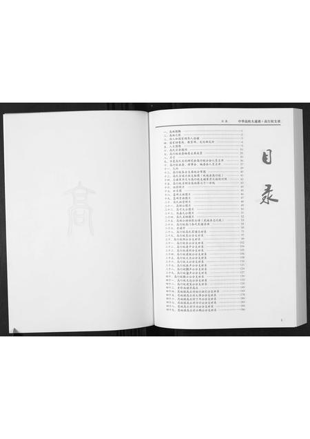 河北高氏-中国高姓大通谱.高行枝支谱.pdf电子版插图1