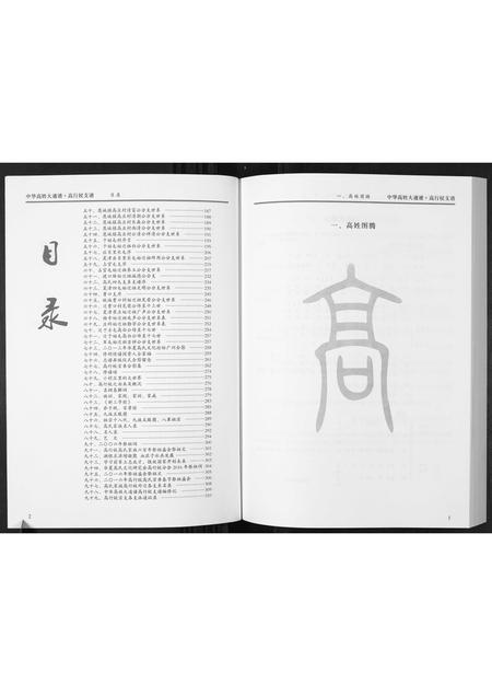 河北高氏-中国高姓大通谱.高行枝支谱.pdf电子版插图2