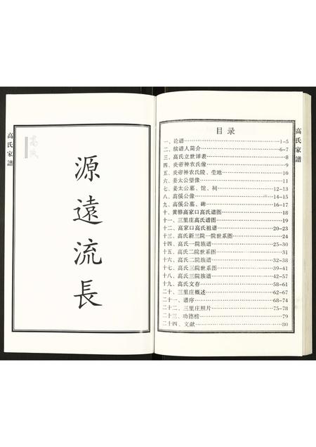 河北高氏-高氏家谱.pdf电子版插图3