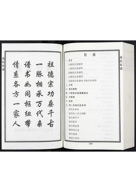 河北高氏-高氏家谱.pdf电子版插图2