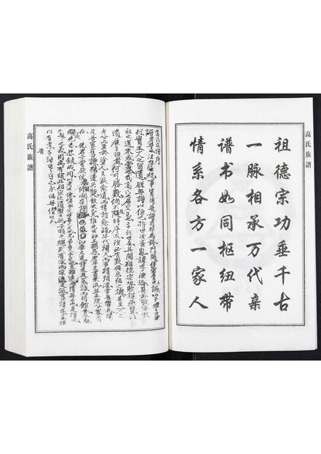 河北高氏-高氏族谱.pdf电子版插图3