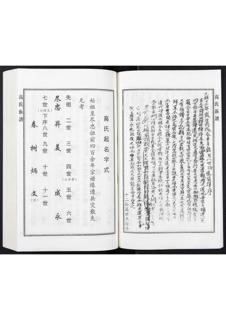 河北高氏-高氏族谱.pdf电子版插图4