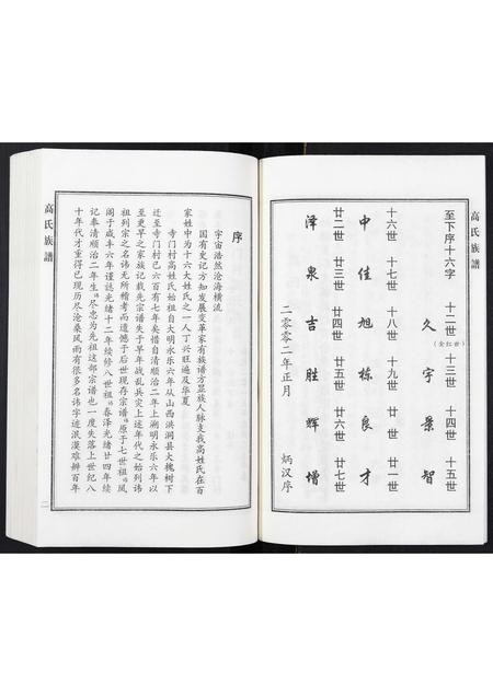 河北高氏-高氏族谱.pdf电子版插图5