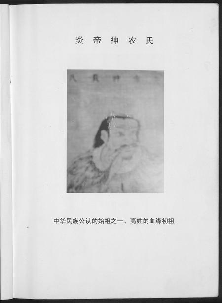 甘肃高氏-条城高氏文化.pdf电子版插图4