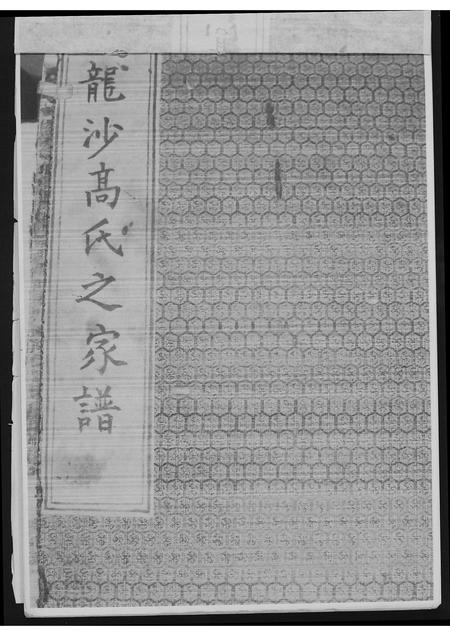 甘肃高氏-高氏前后五代相传世系总谱(别名：龙沙高氏之家谱).pdf电子版插图1