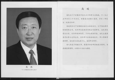 辽宁高氏-高氏家谱.pdf电子版插图4