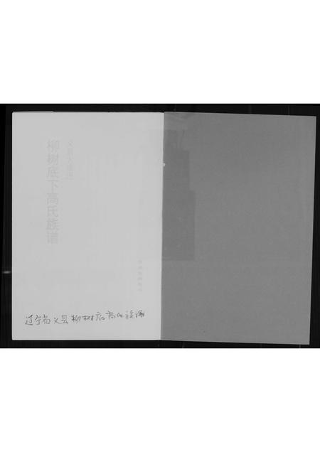 辽宁高氏-柳树下高氏族谱.pdf电子版插图1