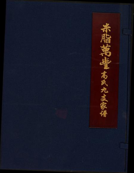 陜西高氏-米脂万丰高氏九支家谱.pdf电子版插图