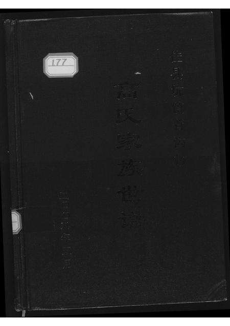 陜西高氏-高氏家族世谱.pdf电子版插图