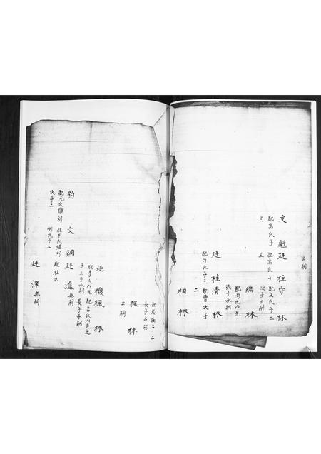 山东葛氏-葛氏家谱书.pdf电子版插图5