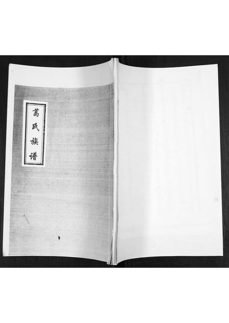 山东葛氏-葛氏族谱.pdf电子版插图