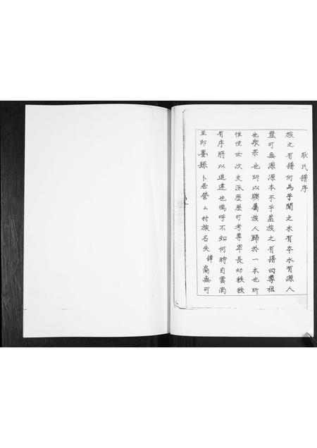 山东耿氏-耿氏族谱.pdf电子版插图1