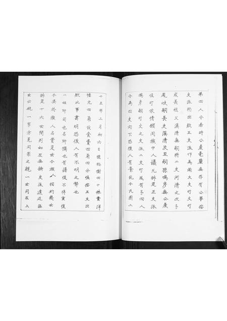 山东耿氏-耿氏族谱.pdf电子版插图4