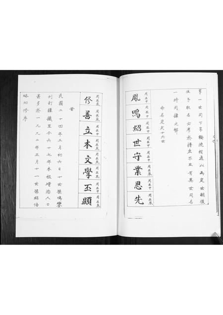 山东耿氏-耿氏族谱.pdf电子版插图5