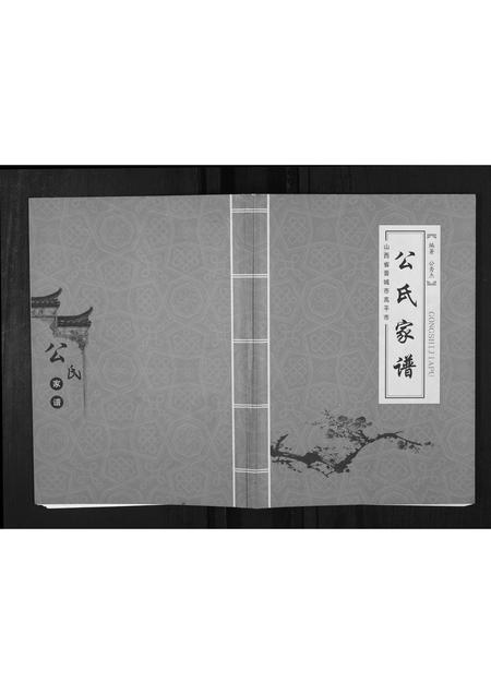 山西公氏-公氏家谱.pdf电子版插图