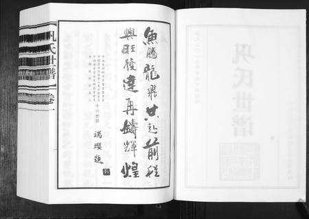 山东巩氏-巩氏世谱[4卷,附1卷].pdf电子版插图2