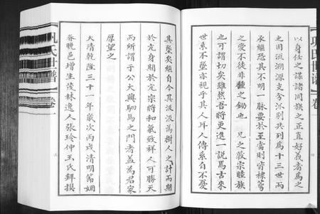 山东巩氏-巩氏世谱[4卷,附1卷].pdf电子版插图4
