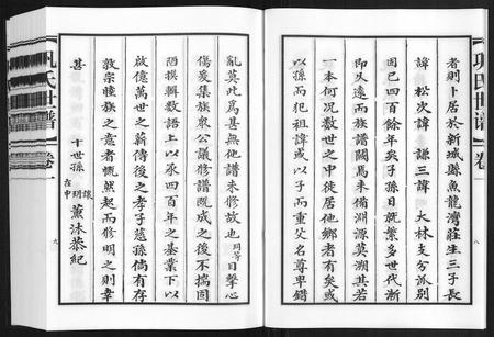 山东巩氏-巩氏世谱[4卷附1卷].pdf电子版插图5