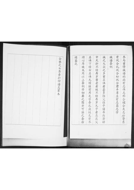 山东巩氏-巩氏族谱志.pdf电子版插图2